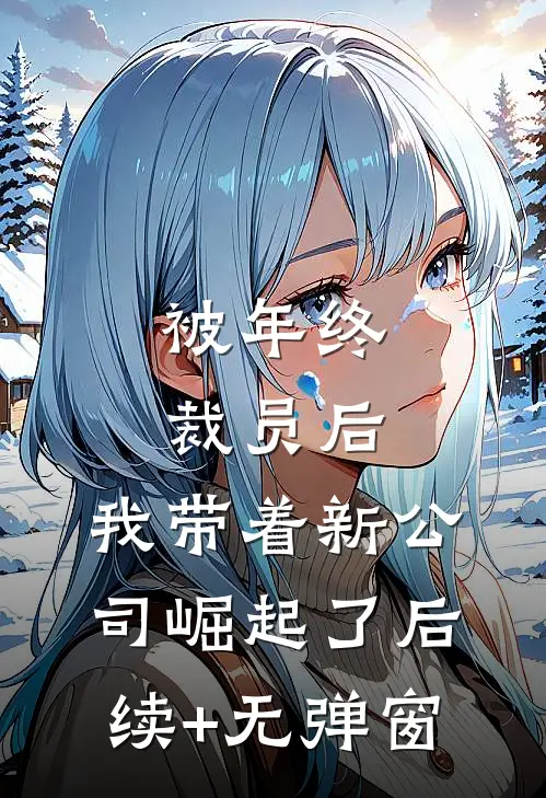 被年终裁员后，我带着新公司崛起了后续+无弹窗