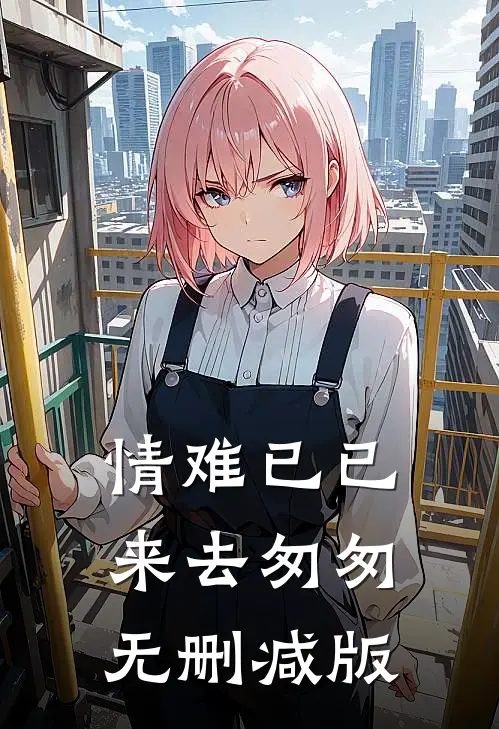 情难已已，来去匆匆无删减版
