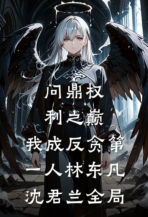 问鼎权利之巅，我成反贪第一人林东凡沈君兰全局