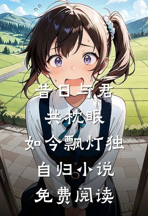 昔日与君共枕眠，如今飘灯独自归小说免费阅读