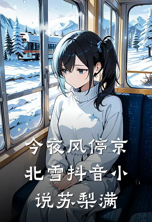 今夜风停京北雪抖音小说苏梨满