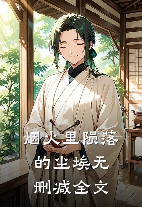烟火里陨落的尘埃无删减全文