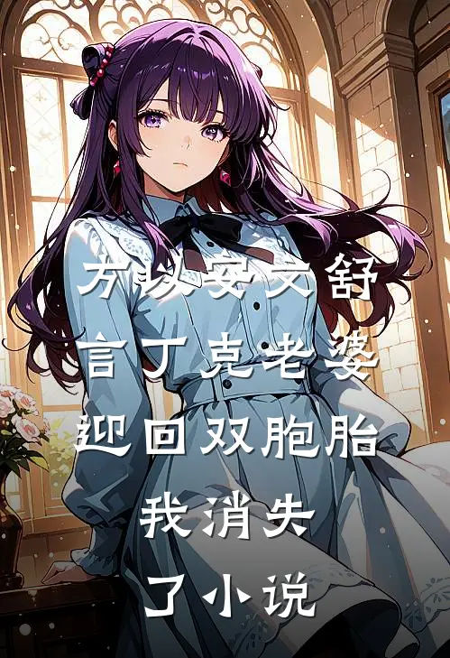 方以安文舒言丁克老婆迎回双胞胎，我消失了小说