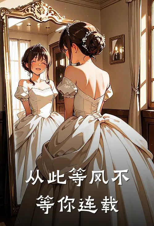 从此等风不等你连载