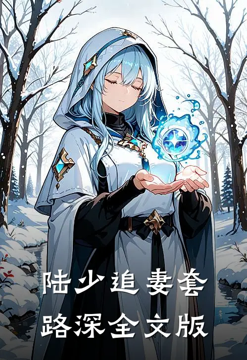 陆少追妻套路深全文版