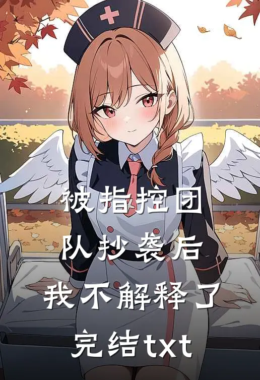 被指控团队抄袭后，我不解释了完结txt