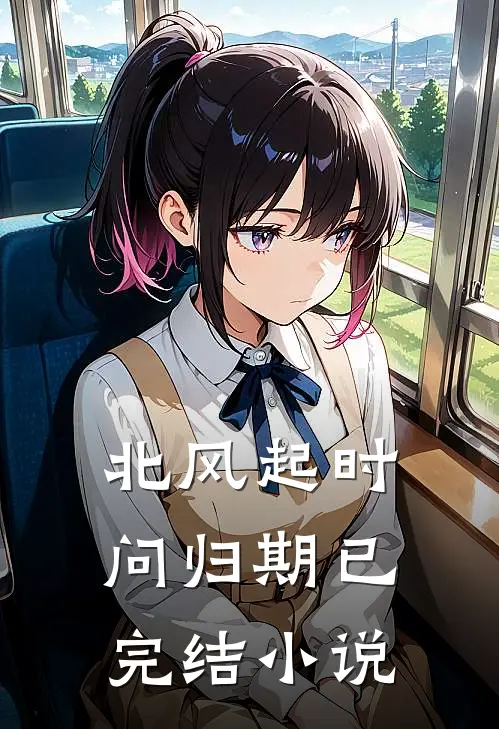 北风起时问归期已完结小说