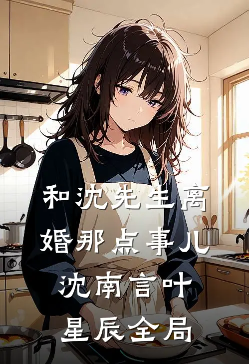 和沈先生离婚那点事儿沈南言叶星辰全局