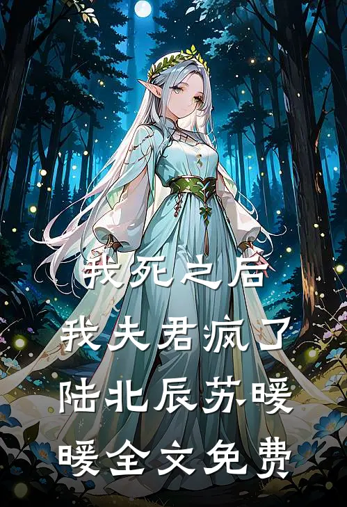 我死之后,我夫君疯了陆北辰苏暖暖全文免费阅读