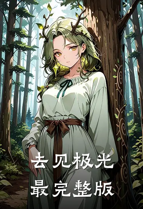 去见极光最完整版