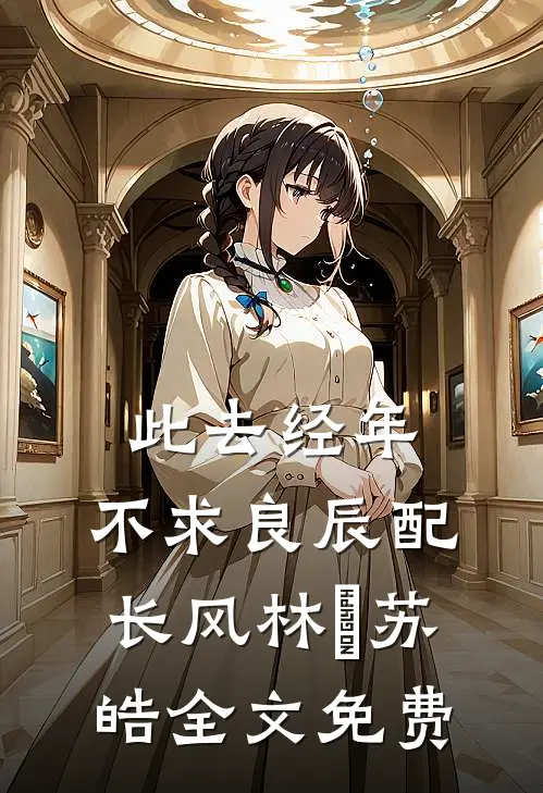 此去经年：不求良辰配长风林玥苏皓全文免费