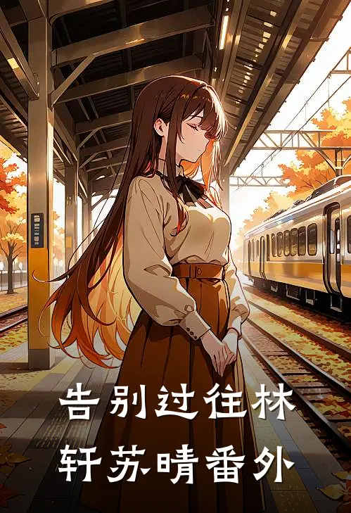 告别过往林轩苏晴 番外