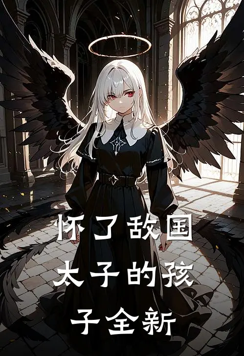 怀了敌国太子的孩子全新