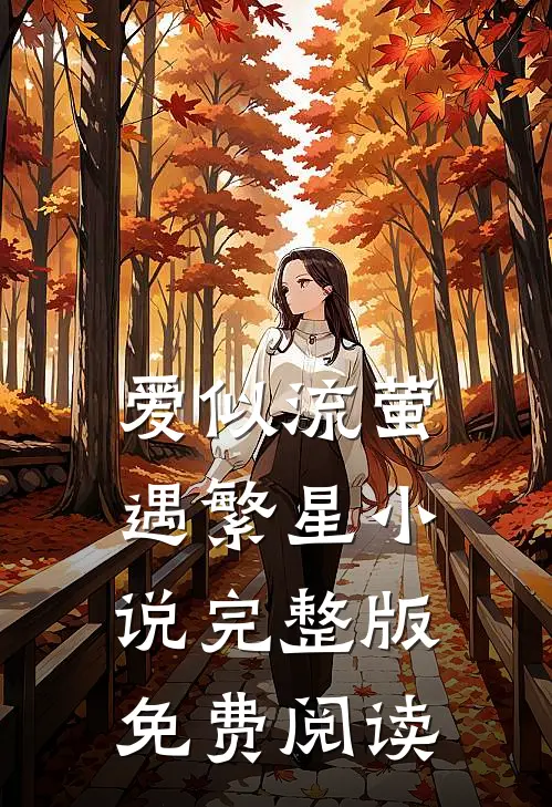 爱似流萤遇繁星小说完整版免费阅读