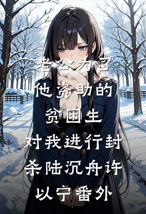老公为了他资助的贫困生，对我进行封杀陆沉舟许以宁番外